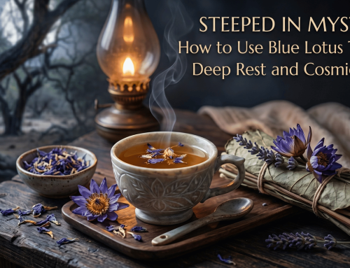 Steeped in Mystery: How to Use Blue Lotus Tea for Deep Rest and Cosmic Calm