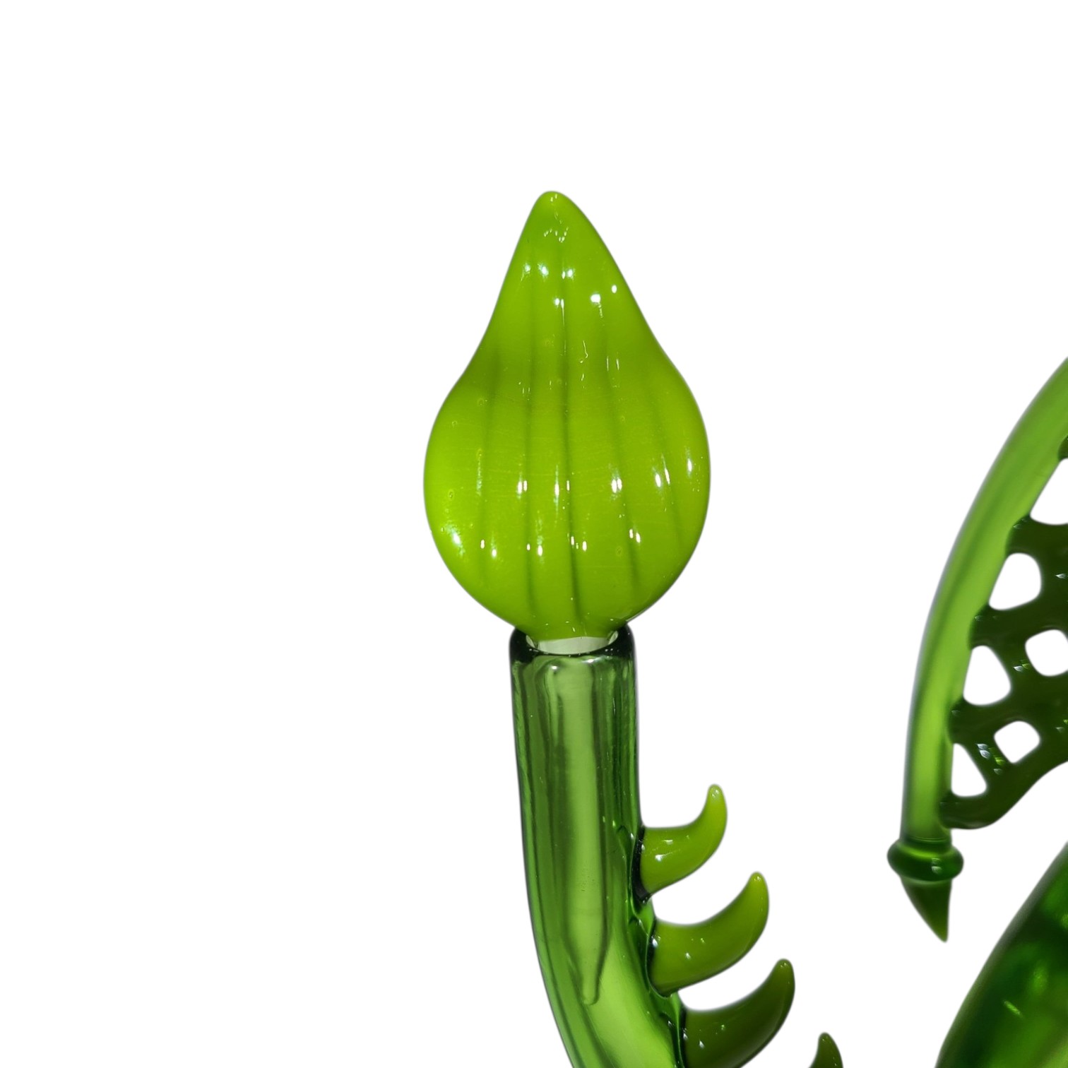 Scoz Glass Dragon Green view 5